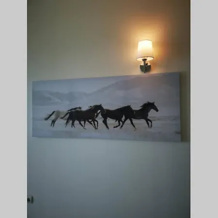 Daire Sea Front Coral *